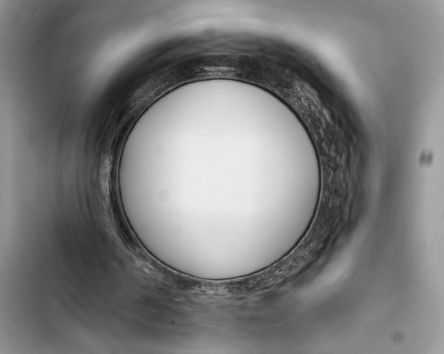 X0000103460194200810031505