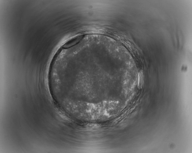 X0000103460195200810031505