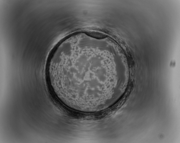 X0000103460196200810031505