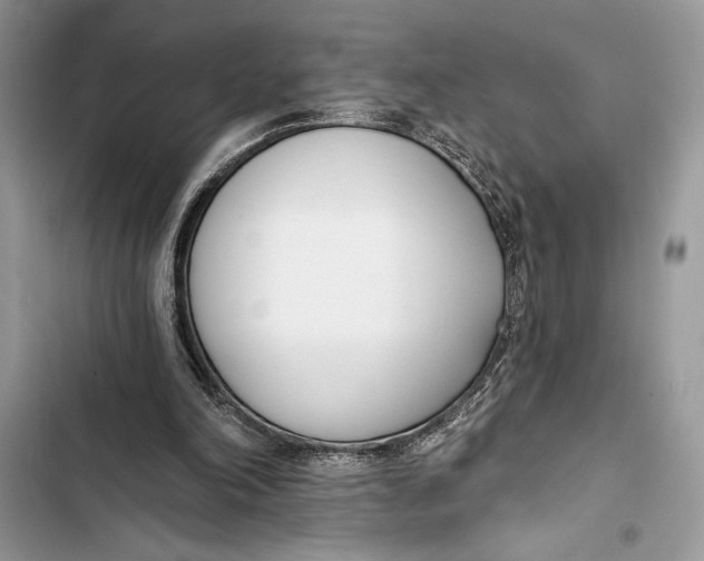 X0000103460198200810031505