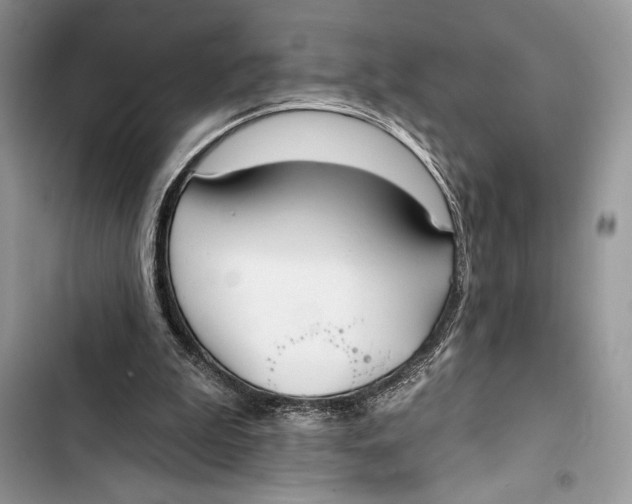 X0000103460199200810031505