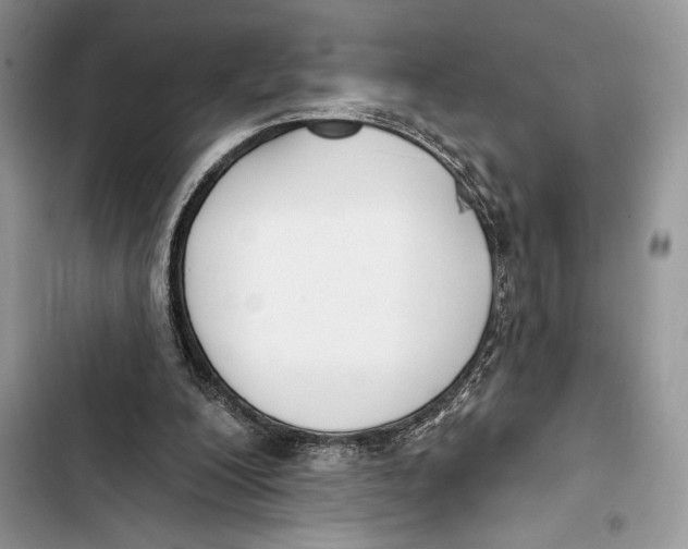 X0000103460200200810031505