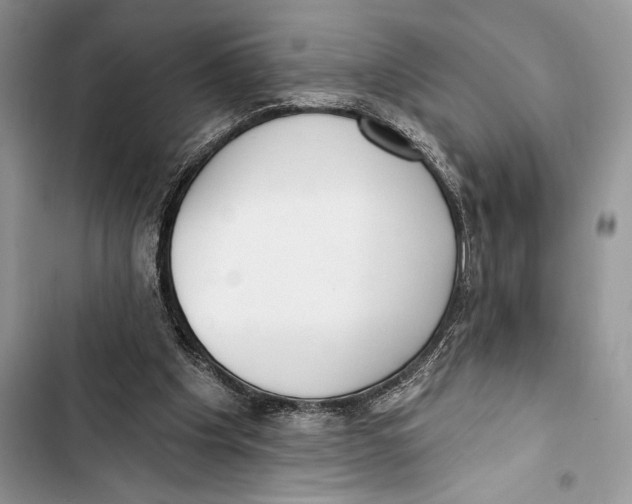 X0000103460201200810031505