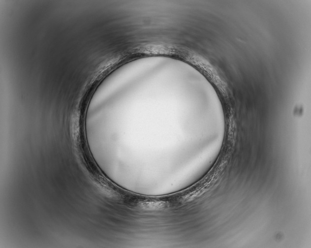 X0000103460202200810031505