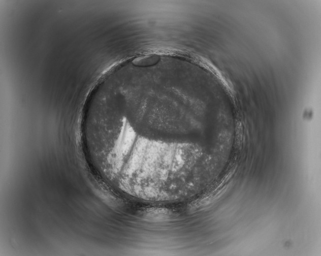 X0000103460203200810031505