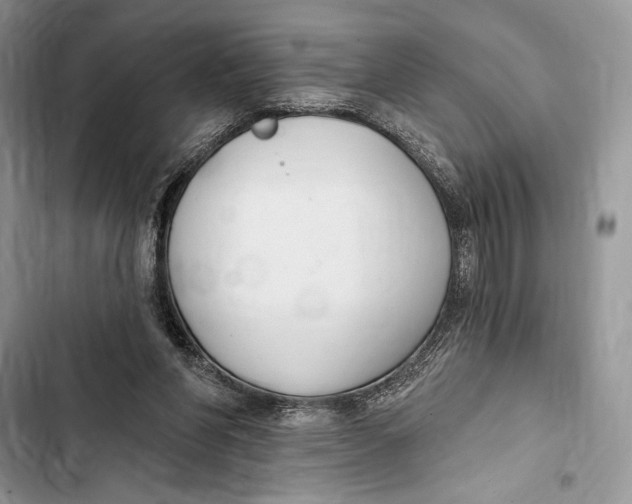 X0000103460206200810031505