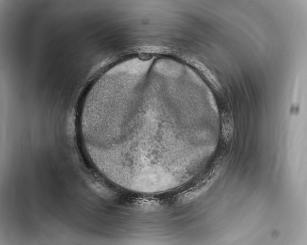 X0000103460207200810031505