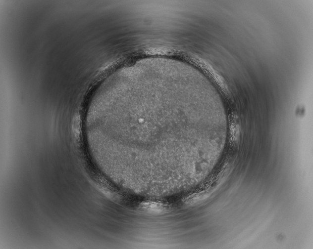 X0000103460211200810031505