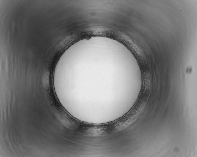 X0000103460213200810031505