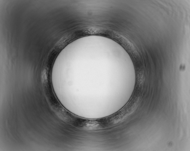 X0000103460214200810031505