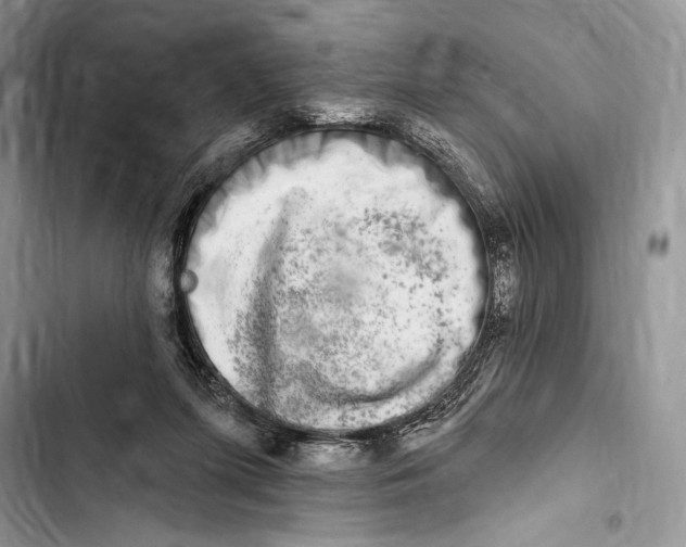 X0000103460215200810031505