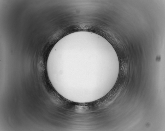 X0000103460220200810031505