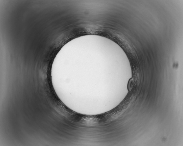 X0000103460221200810031505