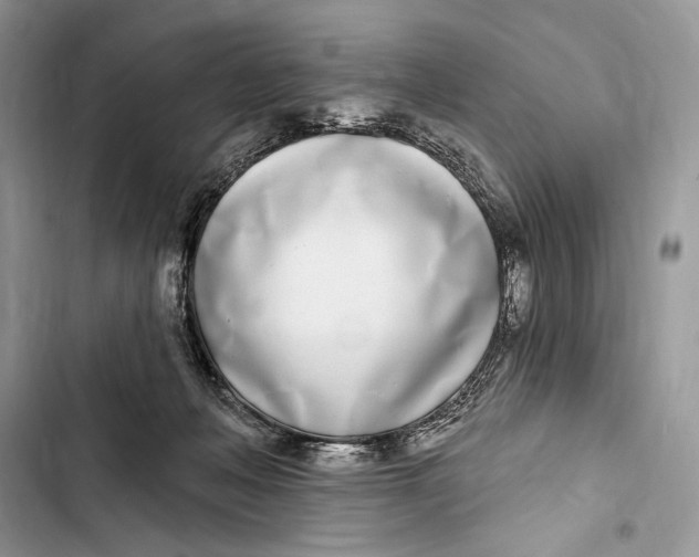 X0000103460222200810031505