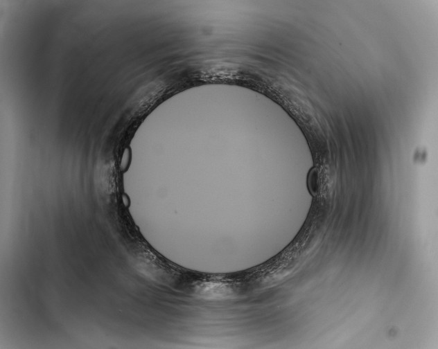 X0000103460224200810031505