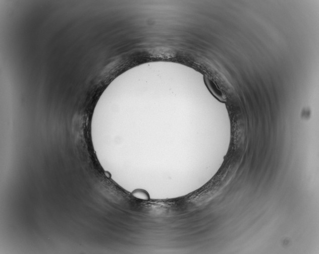 X0000103460229200810031505