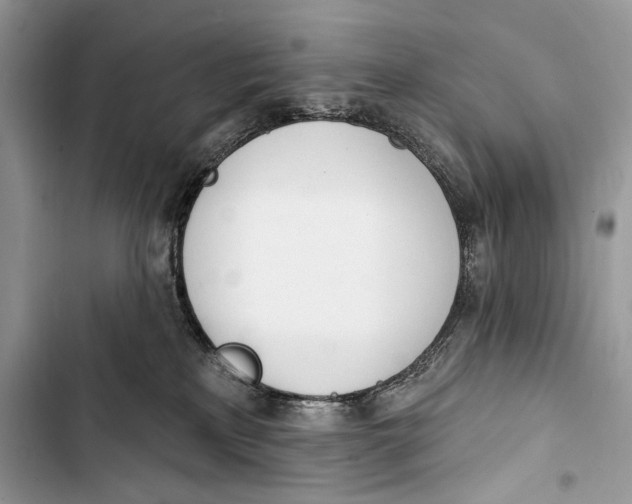 X0000103460233200810031505