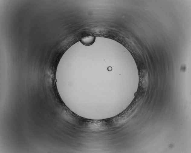 X0000103460235200810031505