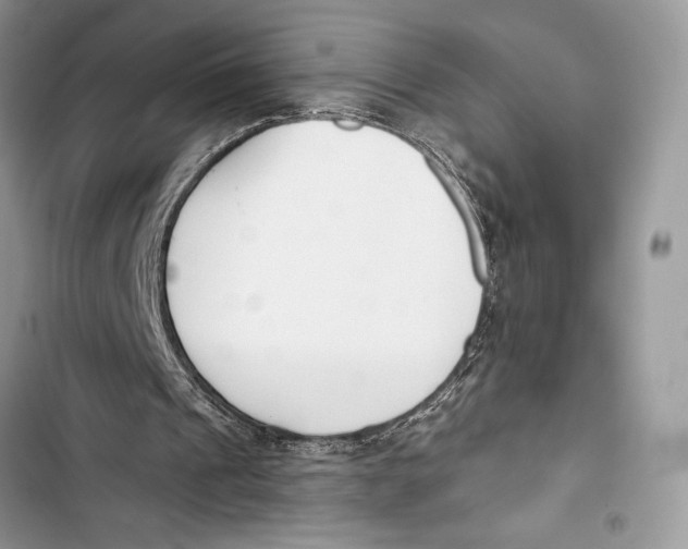 X0000103460241200810031504