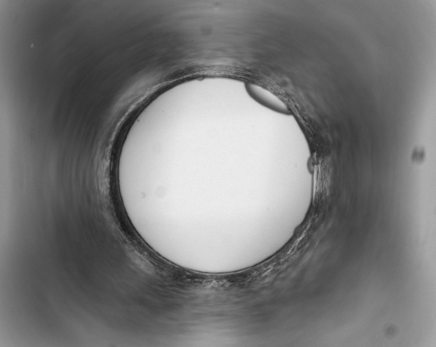 X0000103460243200810031504