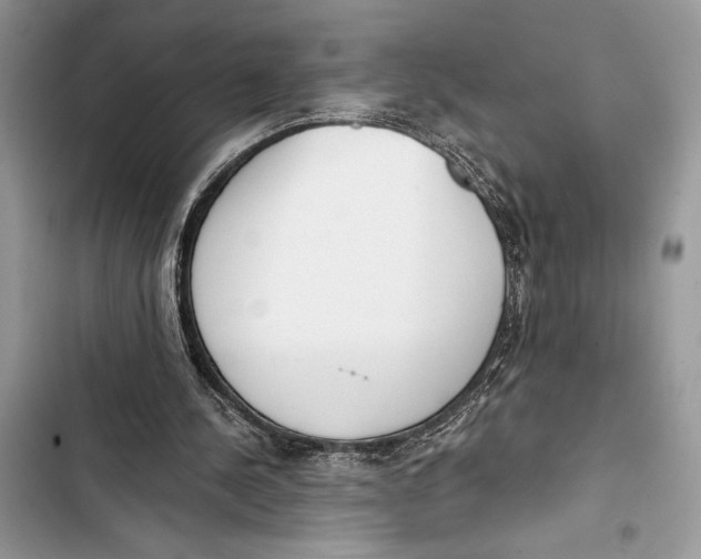 X0000103460244200810031504