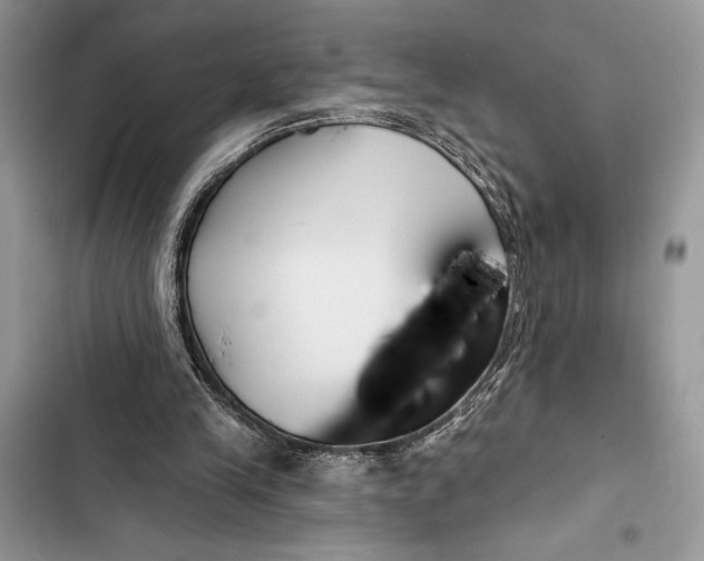 X0000103460245200810031504