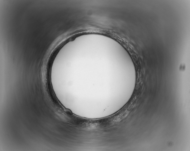 X0000103460247200810031504