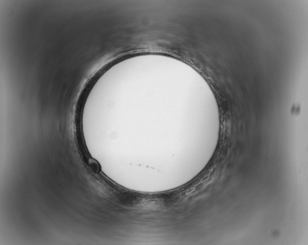 X0000103460248200810031504