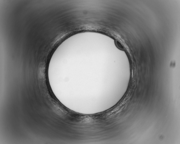 X0000103460249200810031504