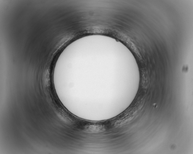 X0000103460251200810031504