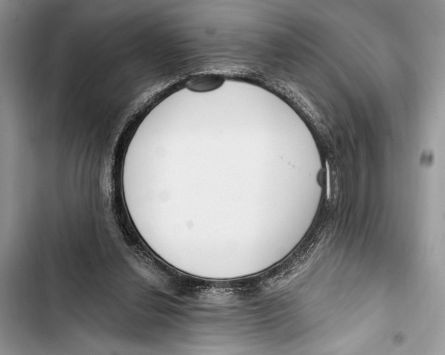 X0000103460252200810031504