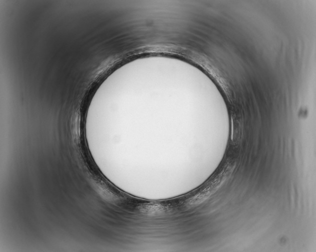 X0000103460253200810031504