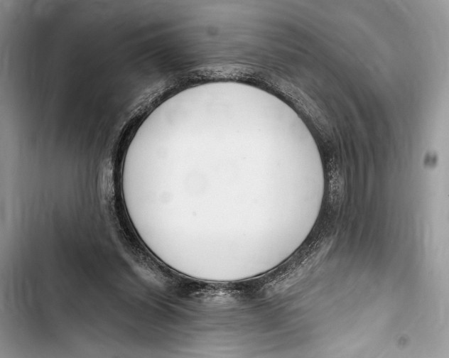 X0000103460254200810031504