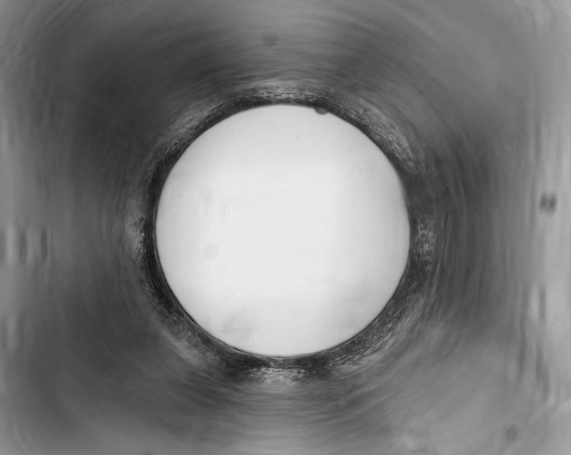 X0000103460255200810031504