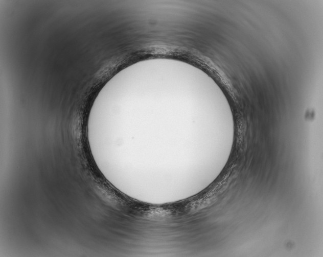 X0000103460257200810031504