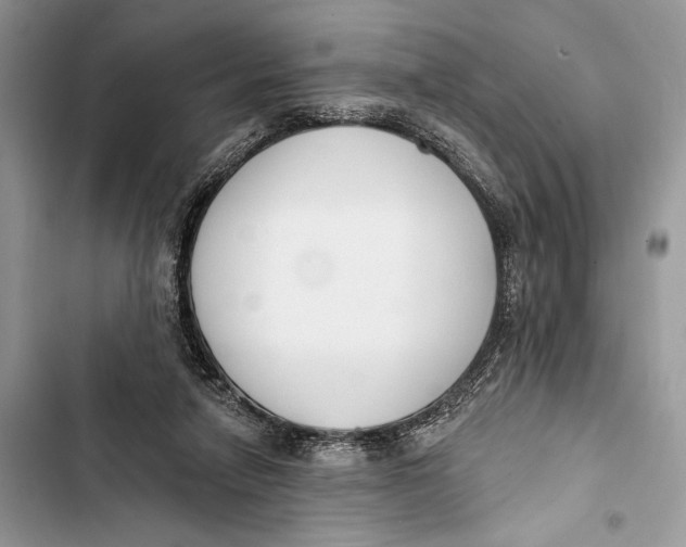 X0000103460258200810031504