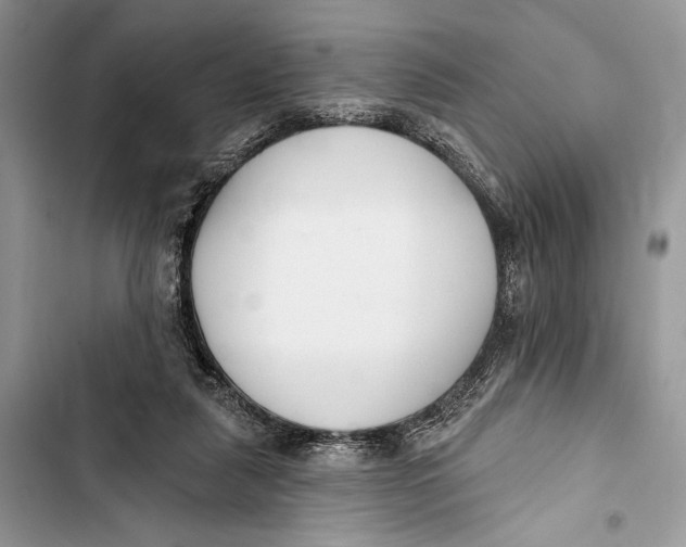 X0000103460259200810031504