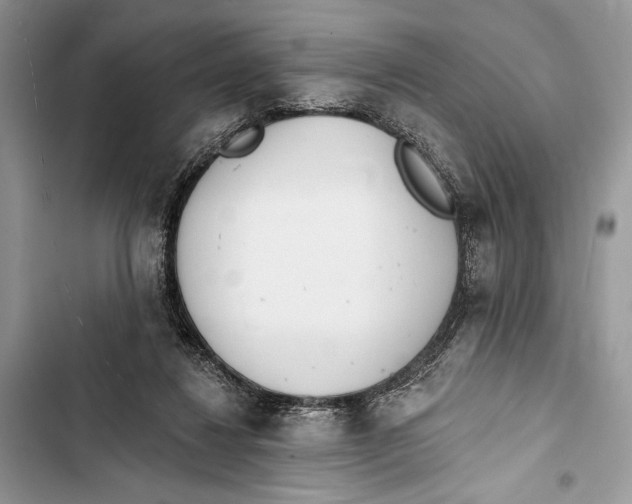 X0000103460260200810031504