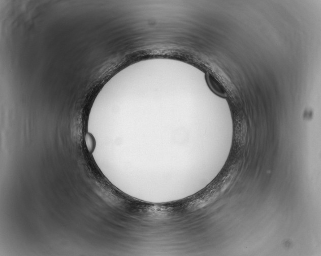 X0000103460261200810031504