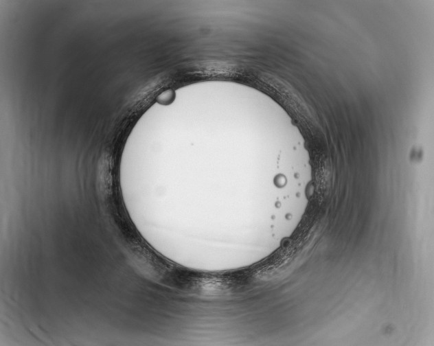 X0000103460264200810031504