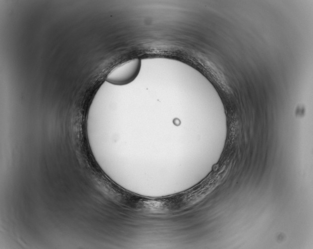 X0000103460265200810031504