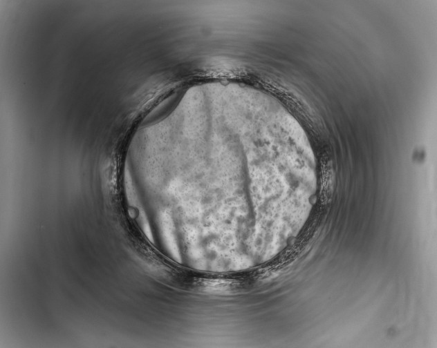 X0000103460268200810031504