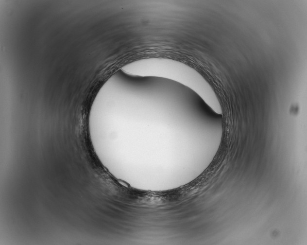 X0000103460276200810031504