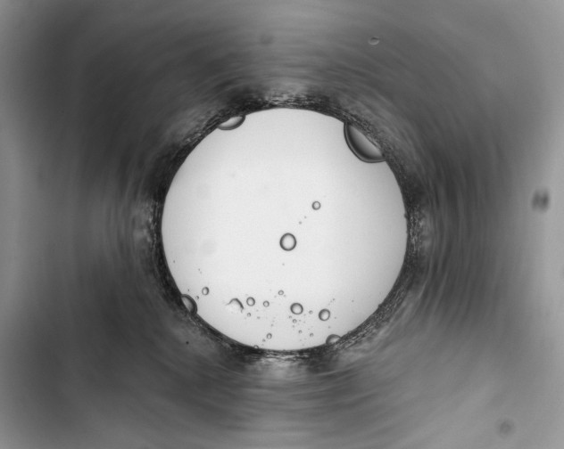 X0000103460280200810031505