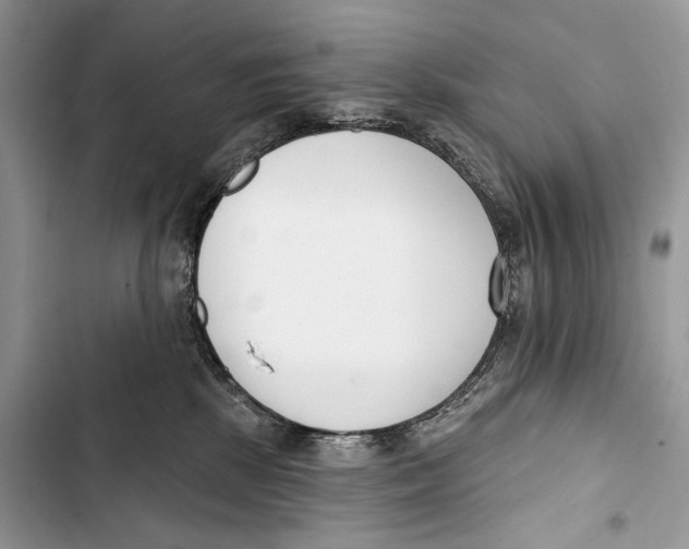 X0000103460281200810031505