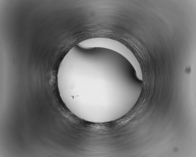 X0000103460284200810031505