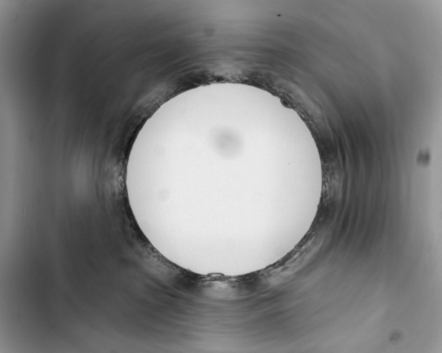 X0000103460285200810031505