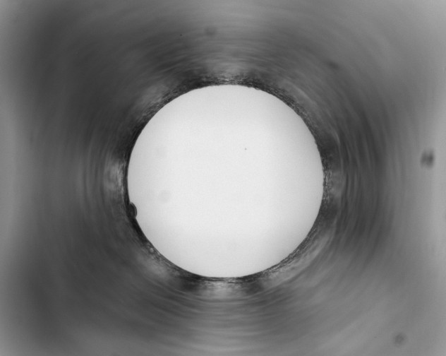 X0000103460286200810031505