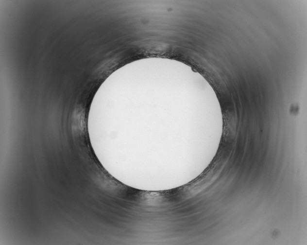 X0000103460287200810031505