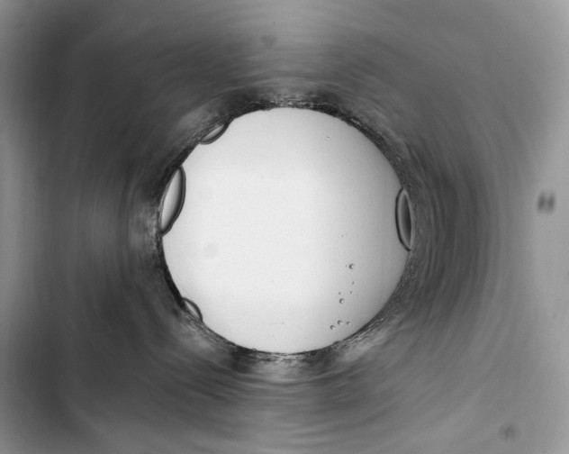 X0000103460288200810031505